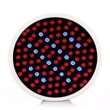 1 Pcs Ac100-240 Ac 85-265 V 6w Red Blue