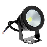 Cool White 100 Flood Light