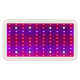 Spectrum Led Grow Light Designed Plant Full 100 Newest Hydroponic