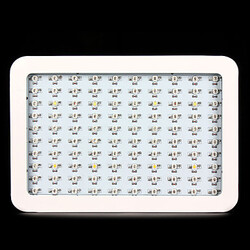 300w Full Spectrum Hot Grow Led Sale Quality