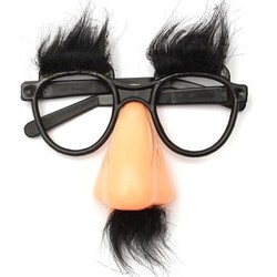 Big Funny Riding Halloween Party Glasses Beard Cosplay Nose