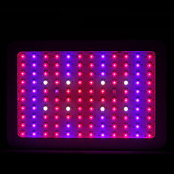 Chip Plants Double 100 Indoor And Led Grow Light High Spectrum