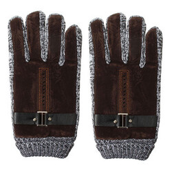 Winter Warm Thicken Windproof Thermal Gloves Men's Driving Leather Mittens