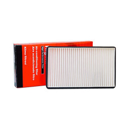 Kuga Ford Old Version TS6544 Air Filter